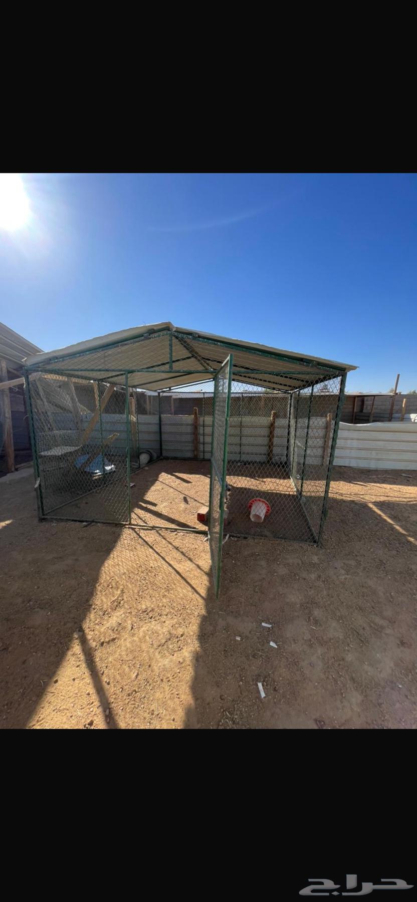 Tabuk64485488073859111