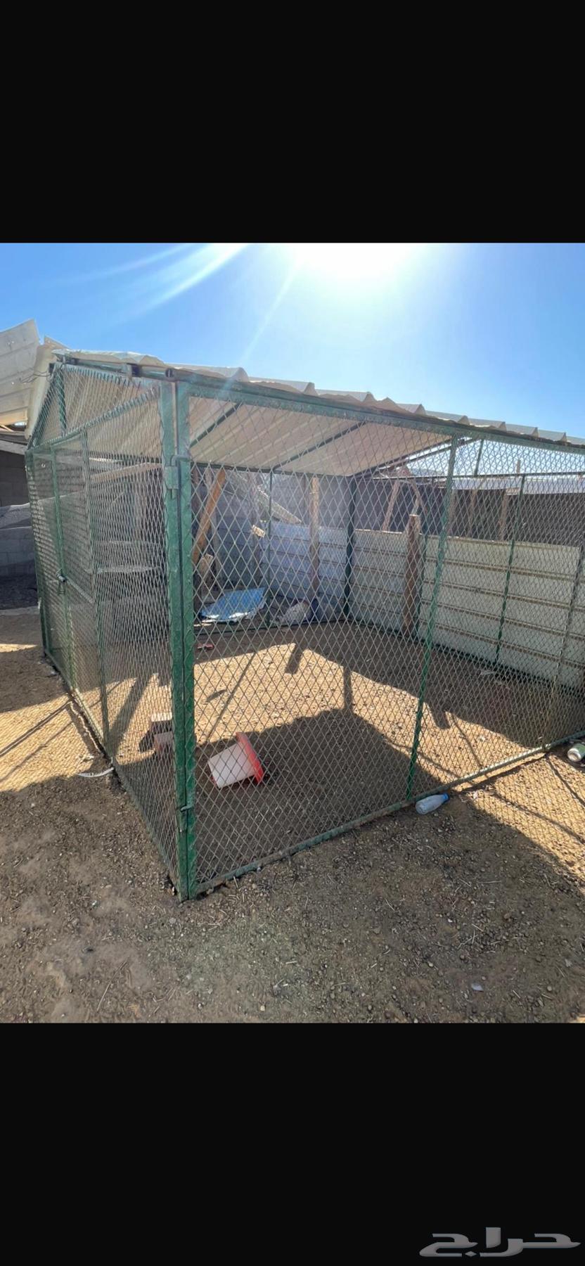 Tabuk64485488073859113