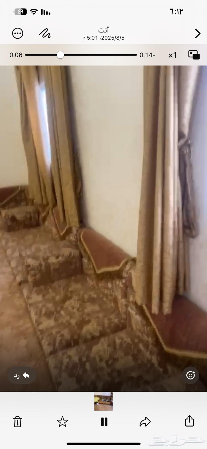 Complete Majlis Set with Cushions, Stands, and Carpet64483853836290110