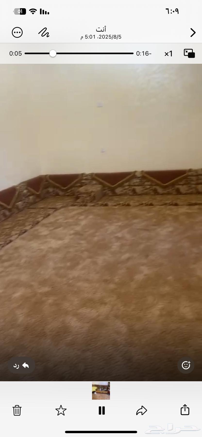 Complete Majlis Set with Cushions, Stands, and Carpet64483853836290113