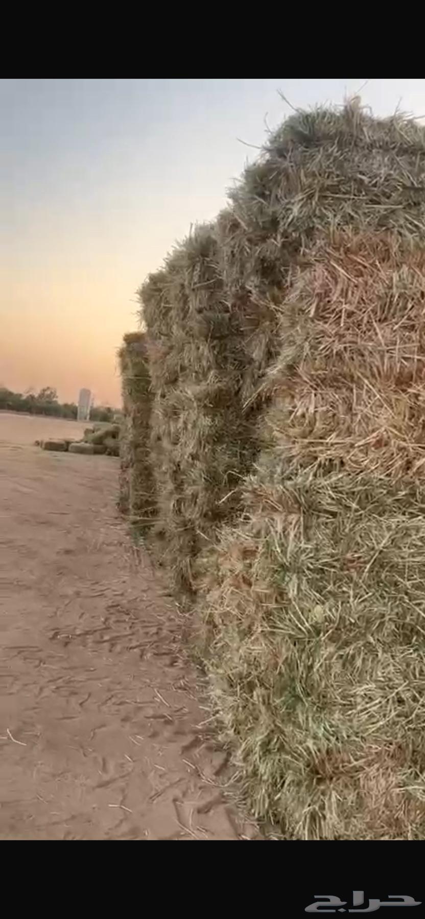 ذره طيبه شد من 80 الي 8564485584415746111