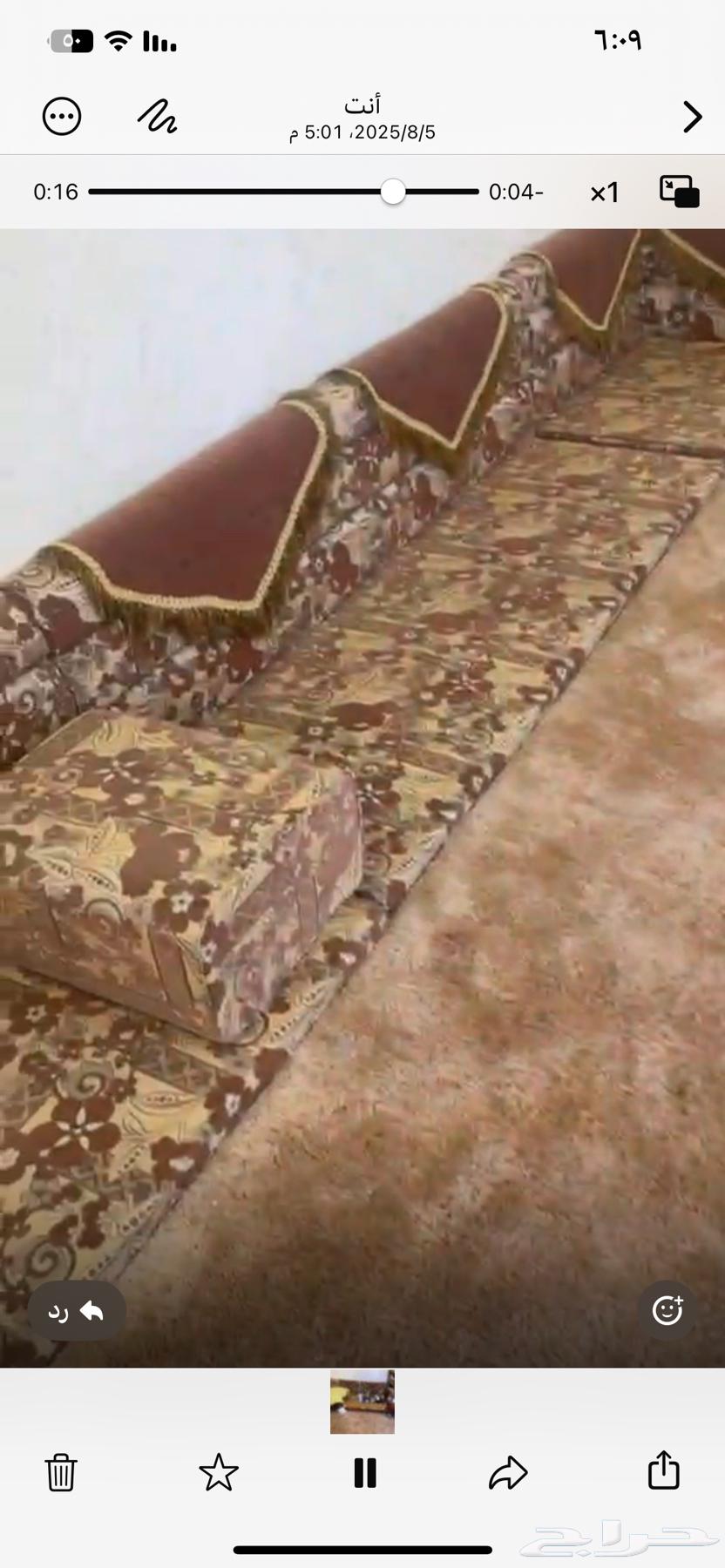 Complete Majlis Set with Cushions, Stands, and Carpet64483853836290111