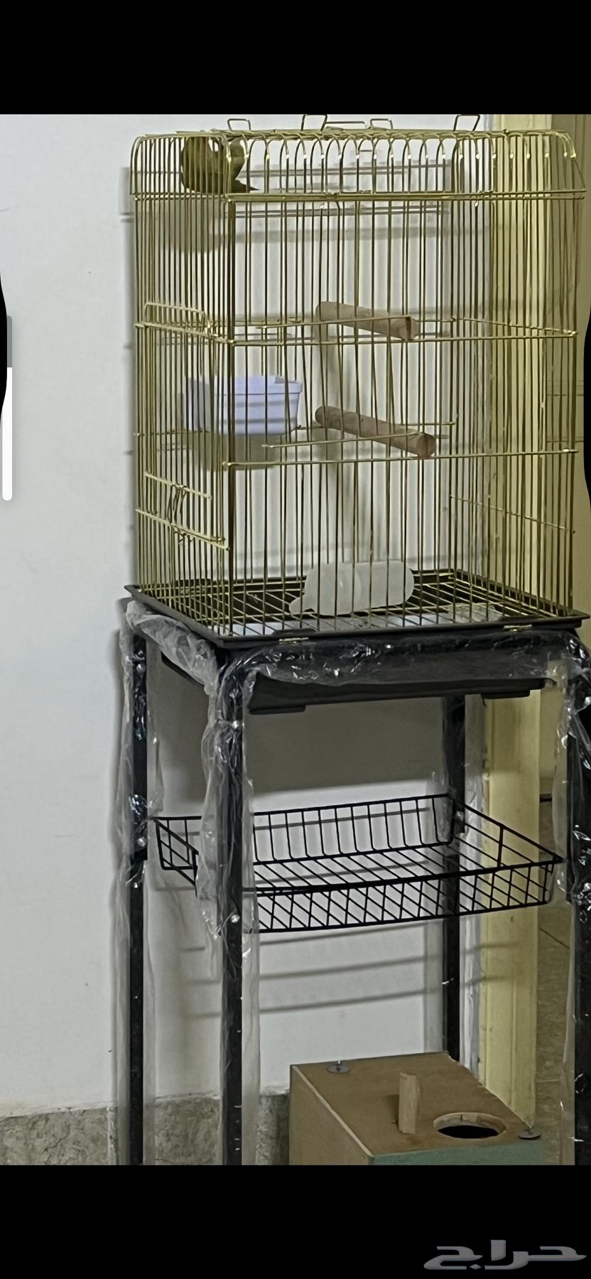 قفص عصفور64485229745283110