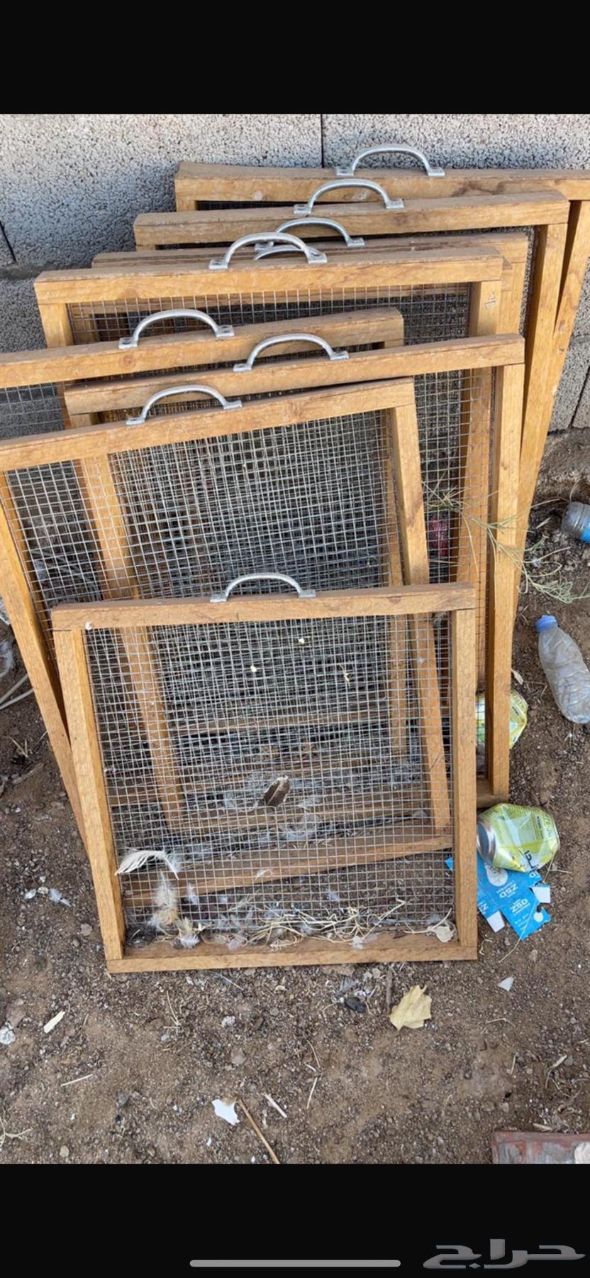 Tabuk64485488073859112