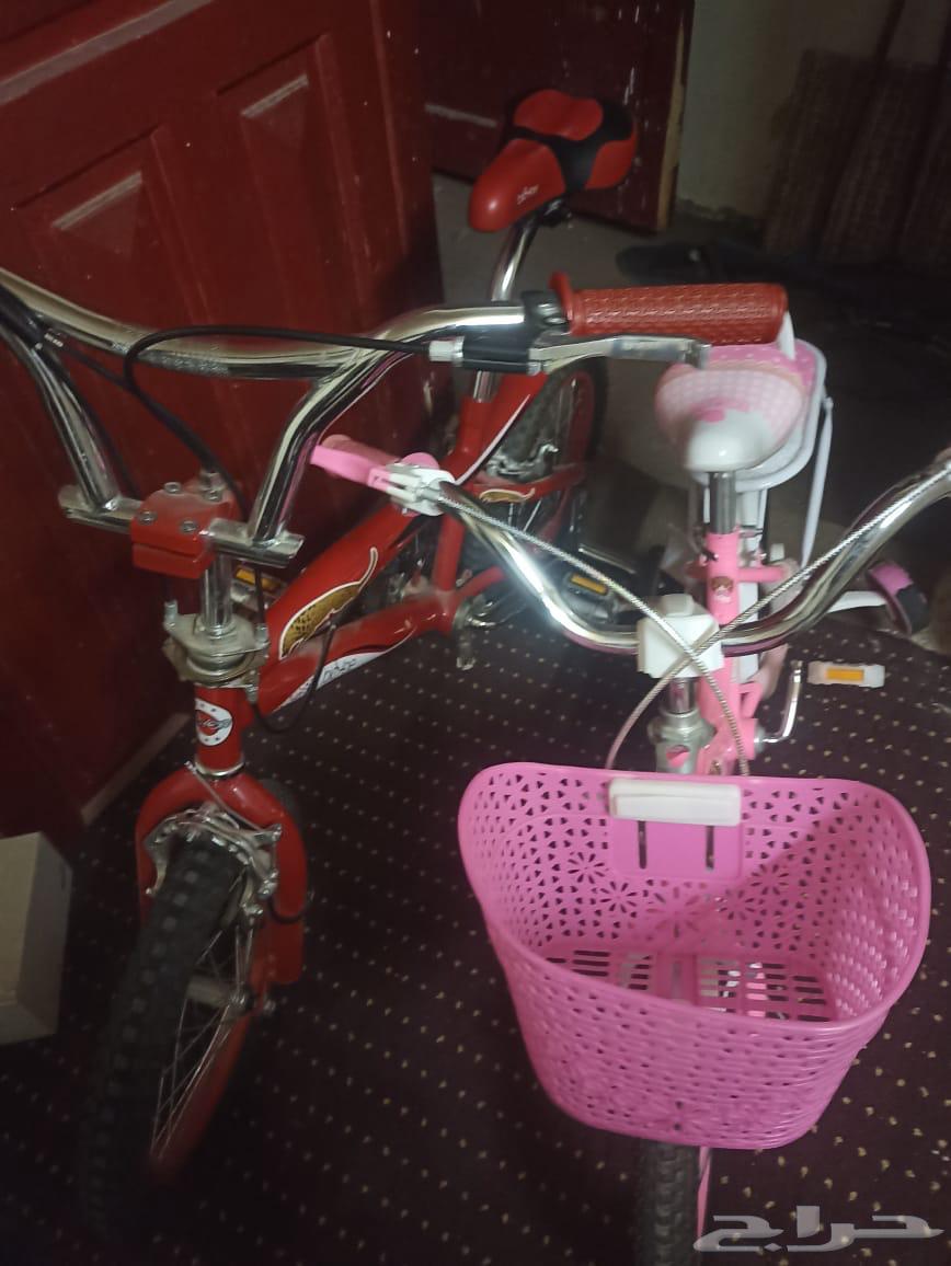 Sikl64483826319618110