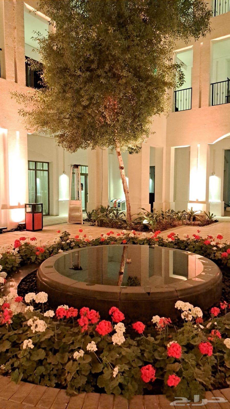 تأجير إنارة لجميع المناسبات (عرض اليوم الوطني)64484511722371111