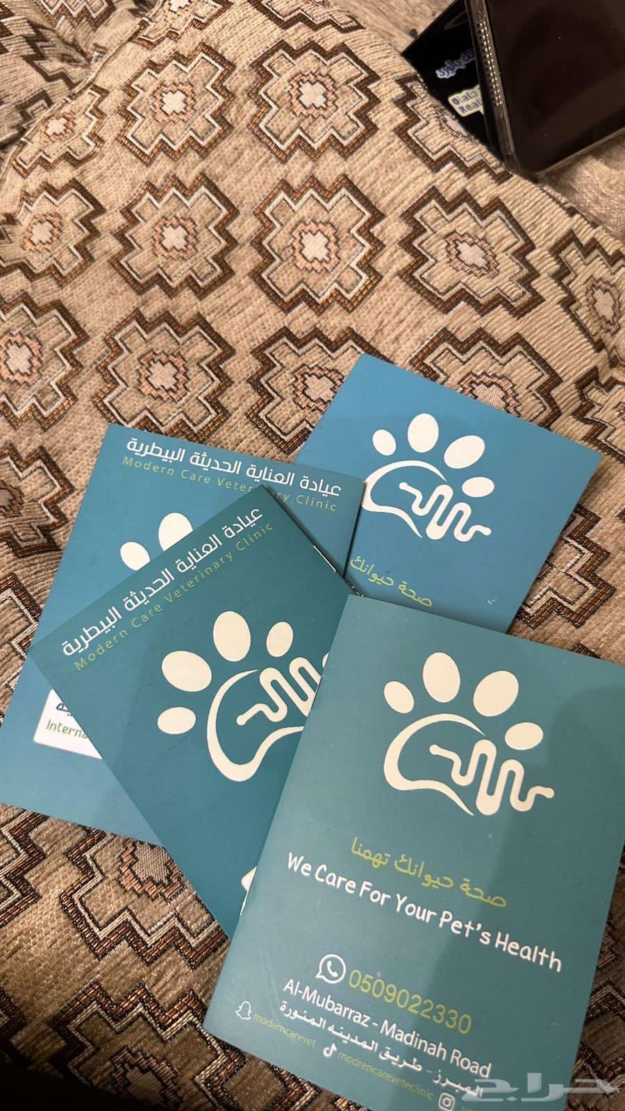 قطين للبيع مع كروت تطعيم64484389312899111