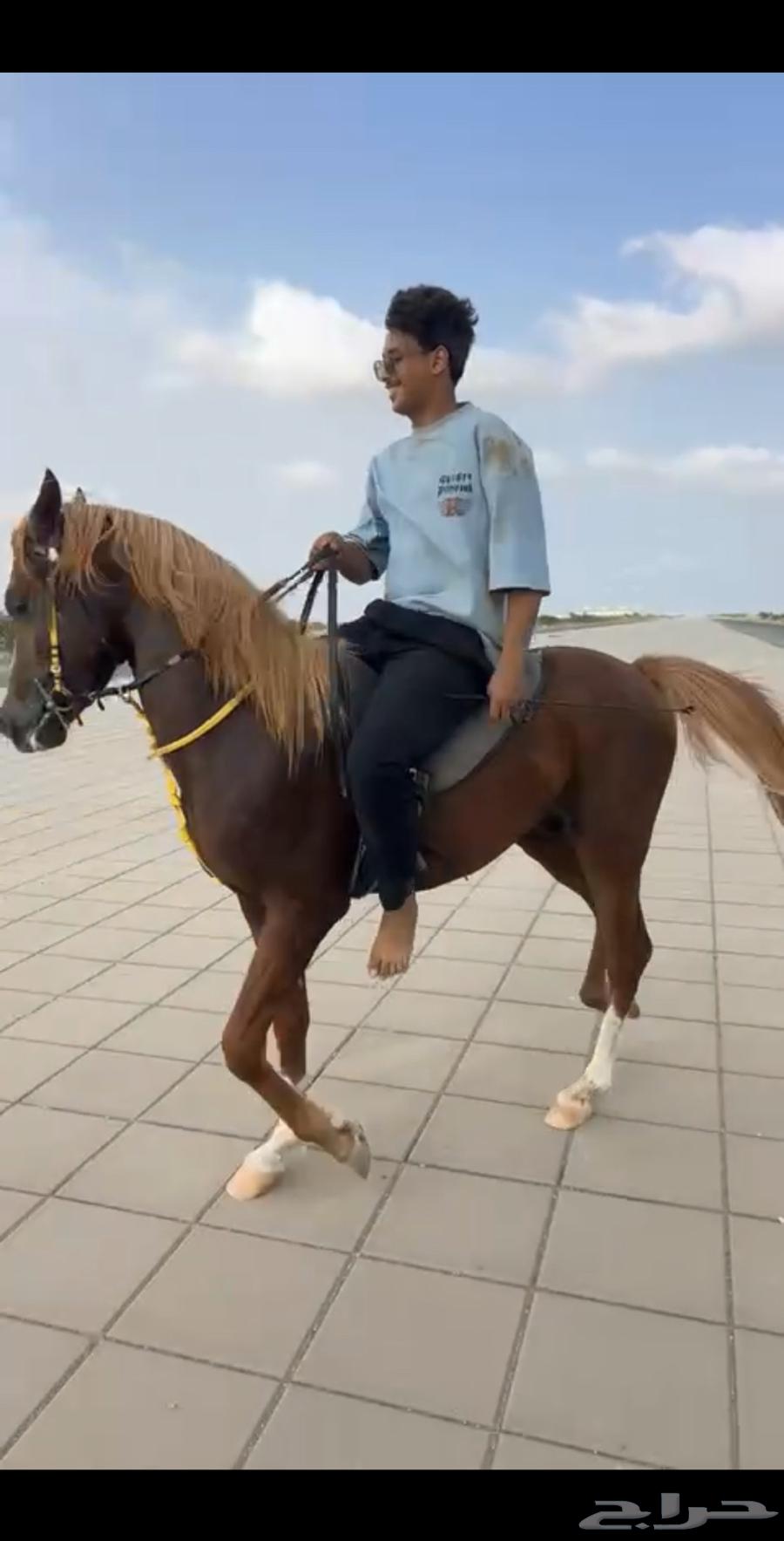 العمر سنتين وا ثمنيه شهور64479701728387114