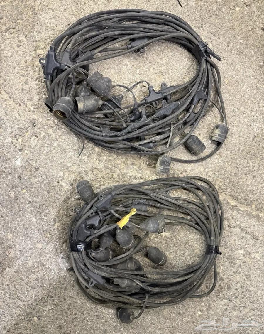 Plant node64481804688259110