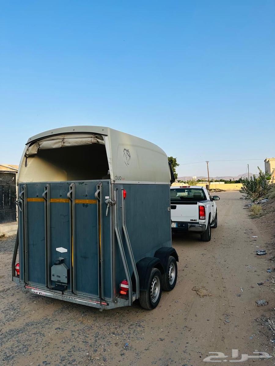 للبيع عربه المانيه بيكمون راسين نوعيه طيبه ومعروفه64484116380929110