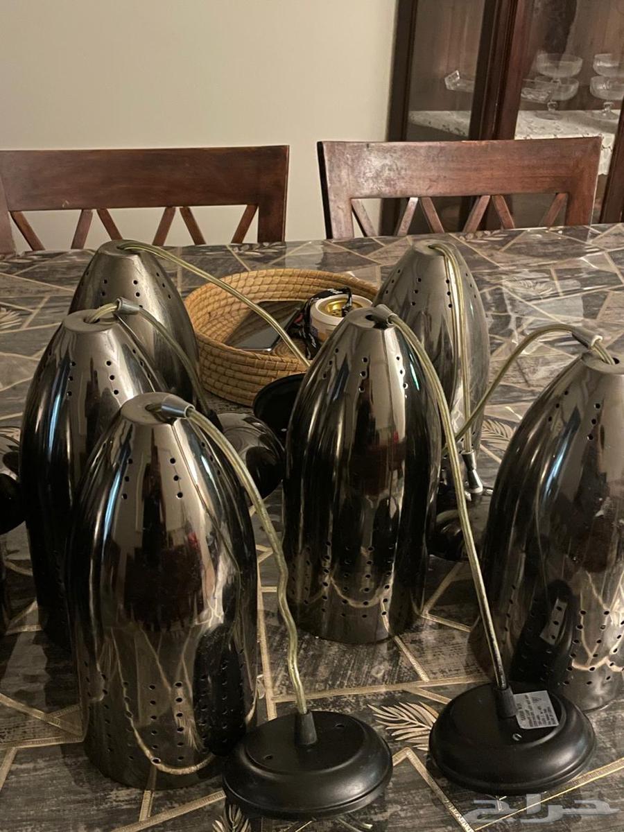 Mops64483178135809112