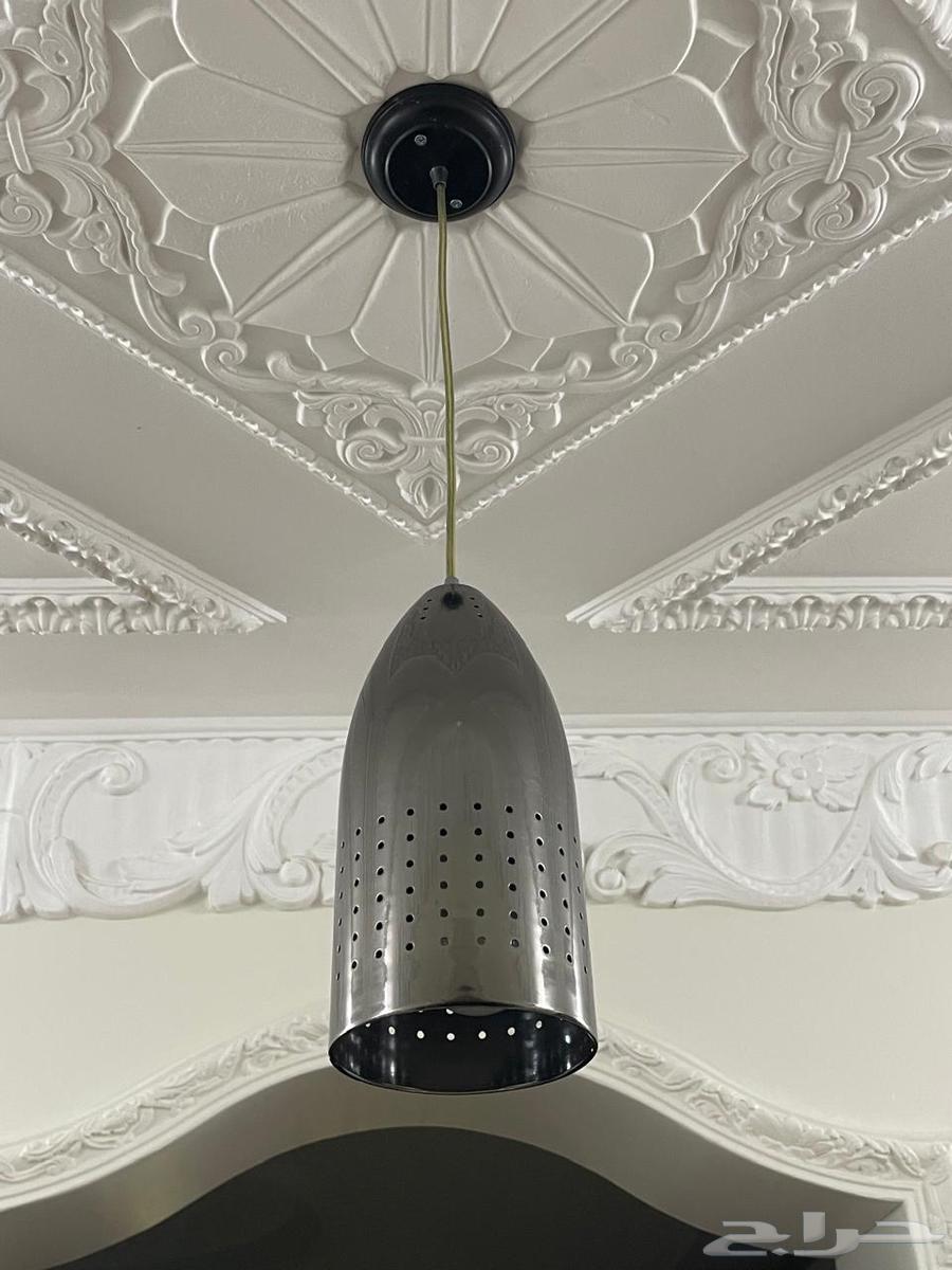 Mops64483178135809114