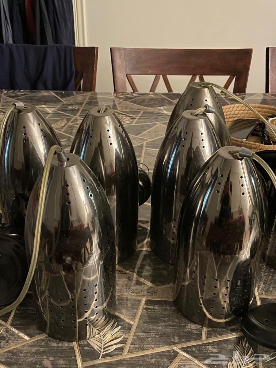 Mops64483178135809110