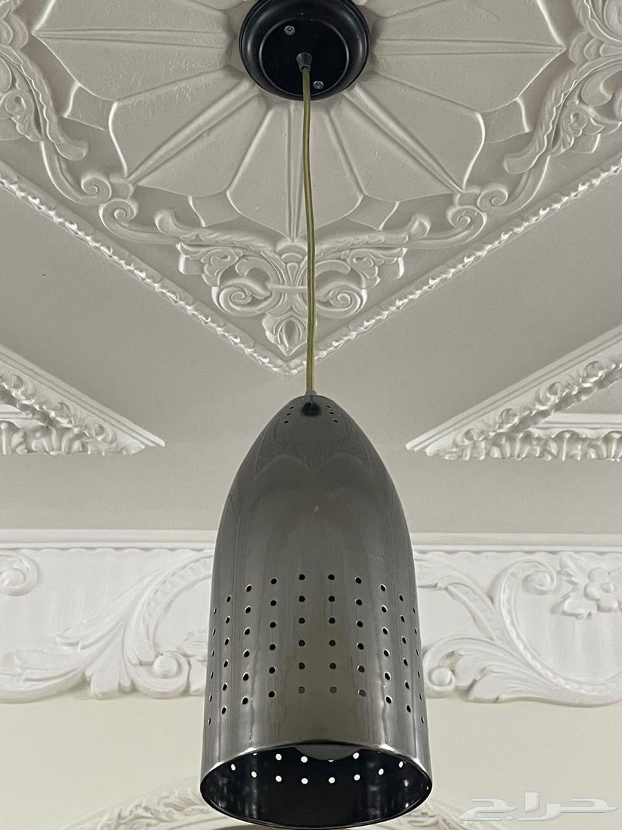 Mops64483178135809113