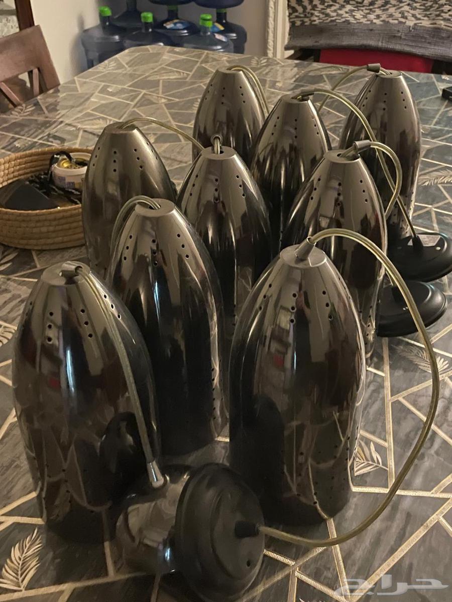 Mops64483178135809111