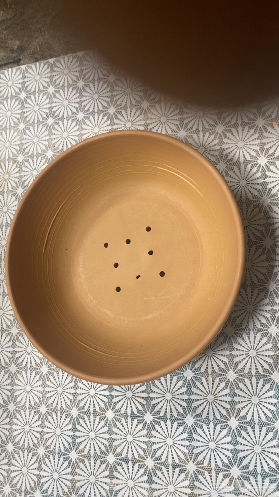 New bird toys offer with different shapes, each game for ten riyals64487828238465114