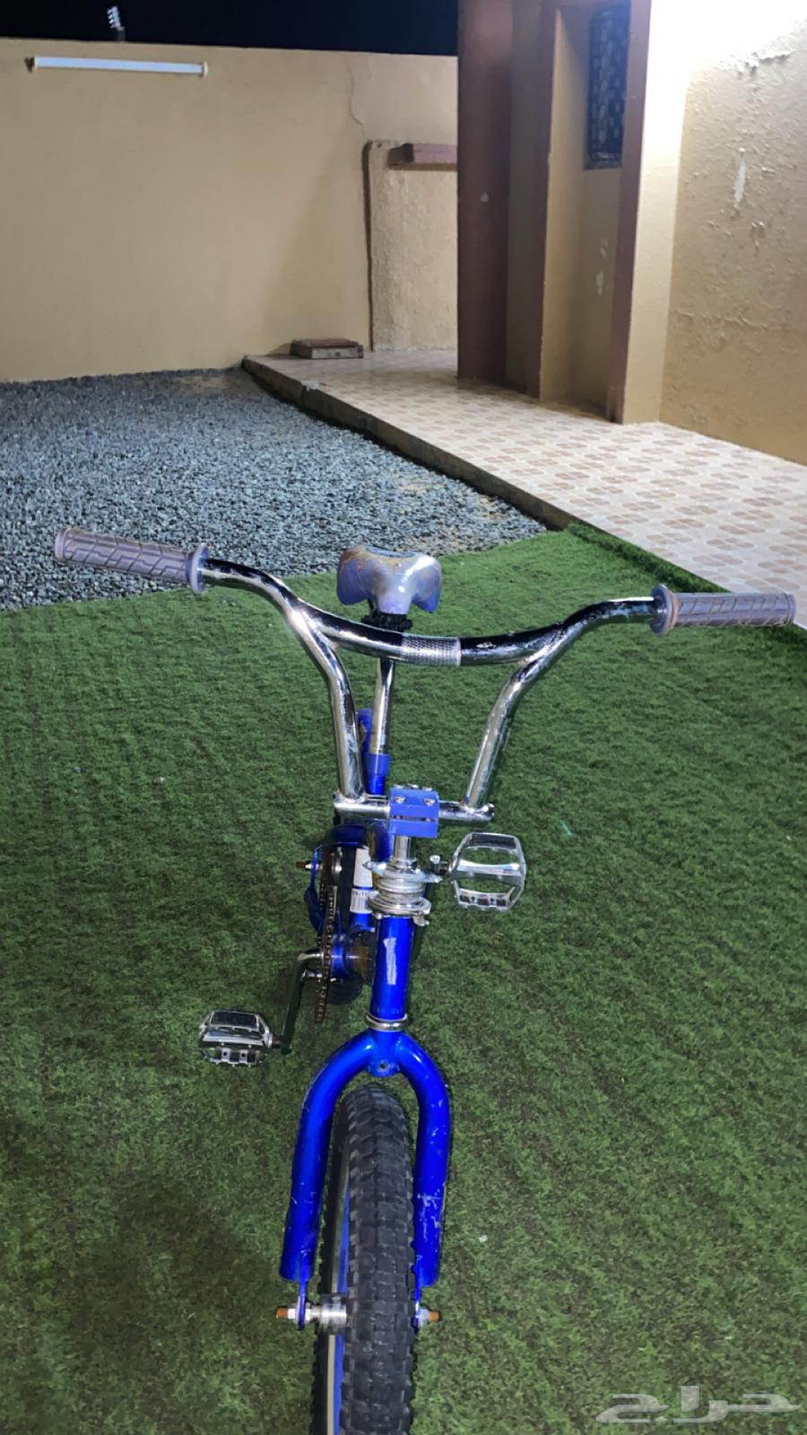 Cobra bicycle size 16 offer, new, never used, bought it 3 months ago64486647879553112