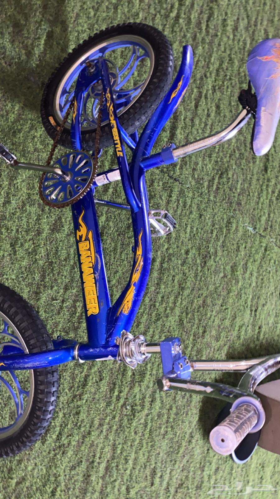 Cobra bicycle size 16 offer, new, never used, bought it 3 months ago64486647879553111