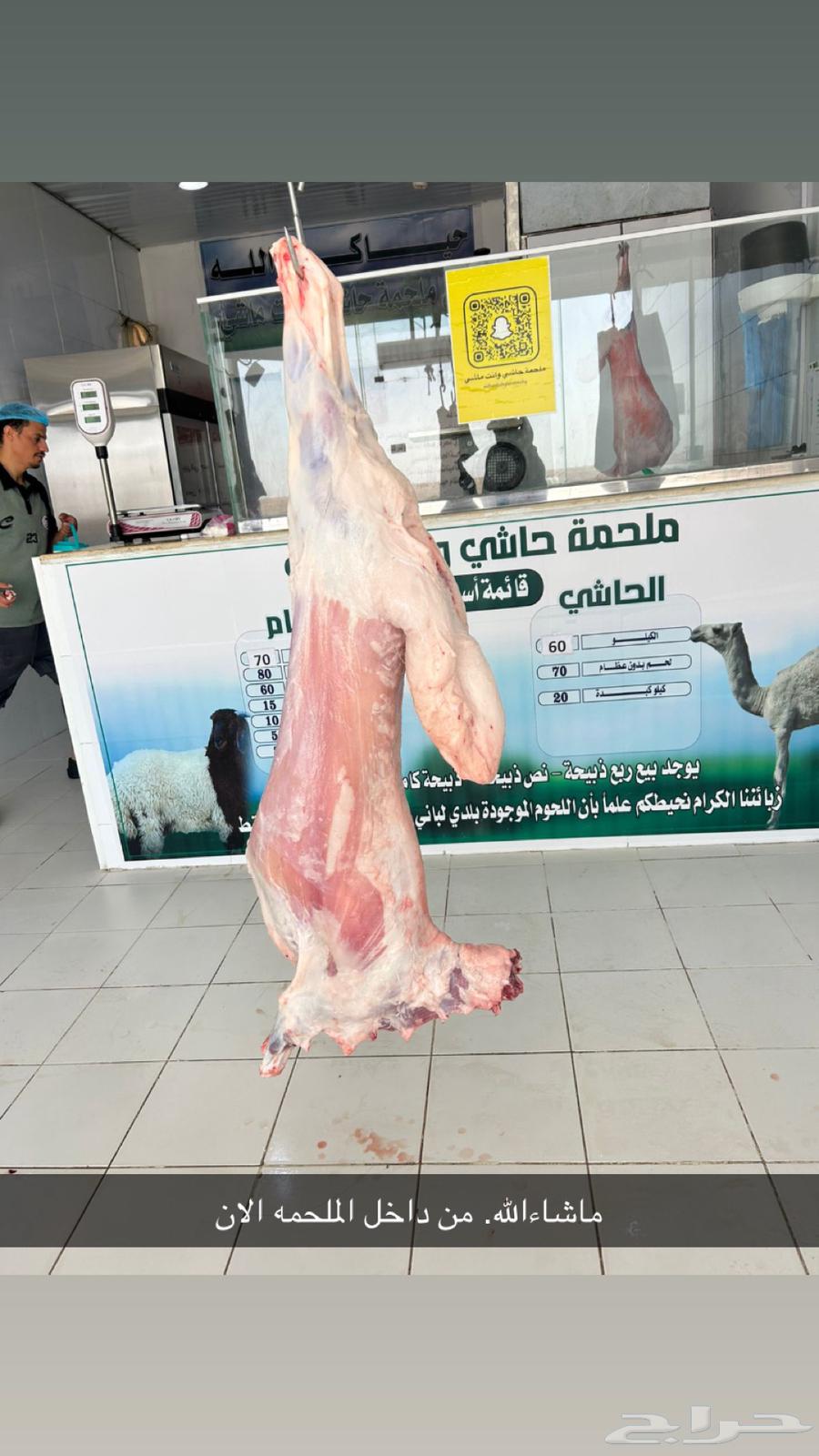 رخل طيبه موجوده بالملحمة الان64489986544642113