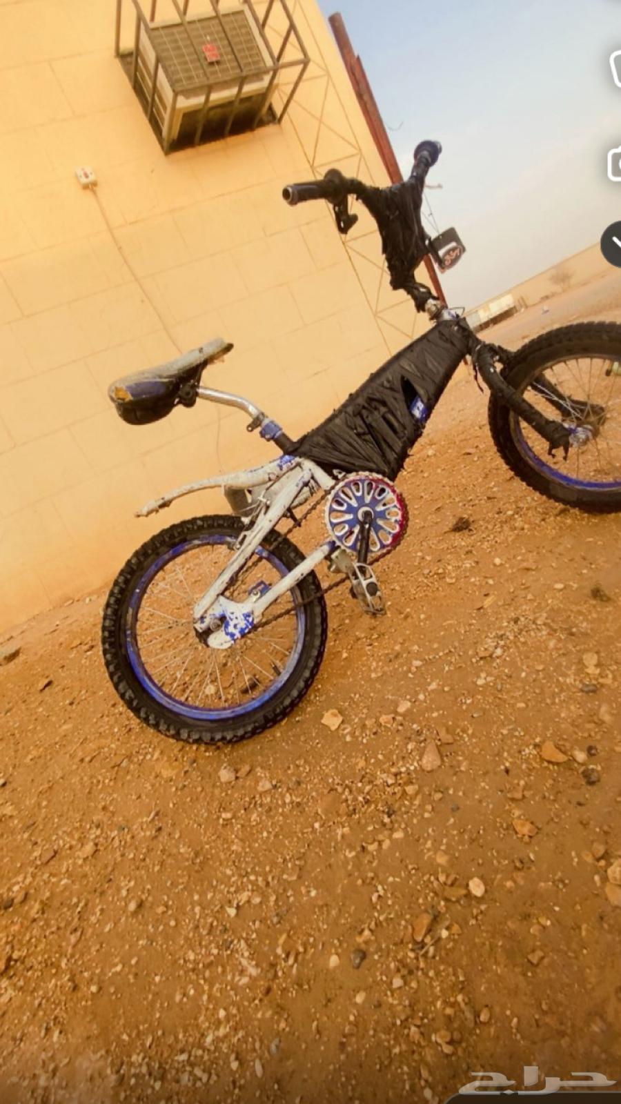 Cyclone Cobra64489558813699113