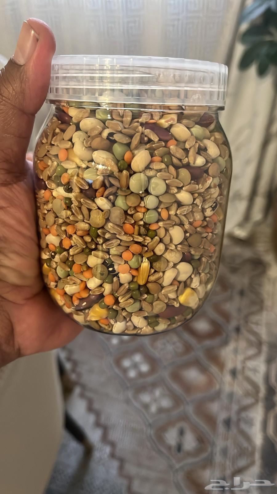 Bird Soak64487952059906110