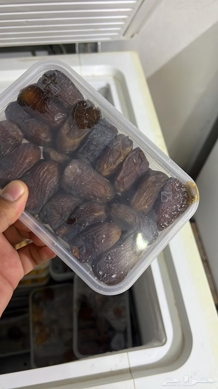 Premium Fresh Dates64491211667715111
