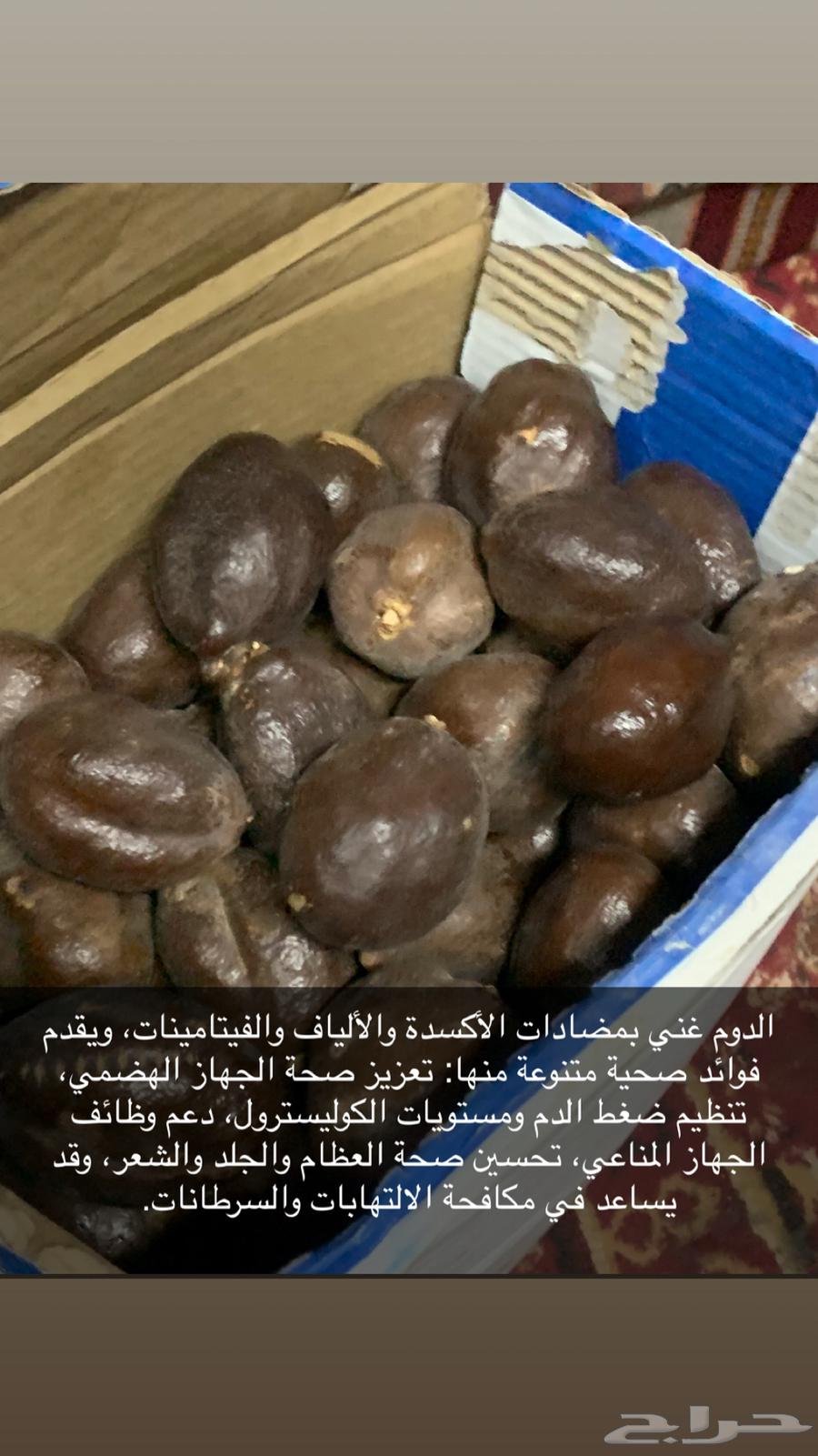 يوجد دوم للبيع64489724886402110