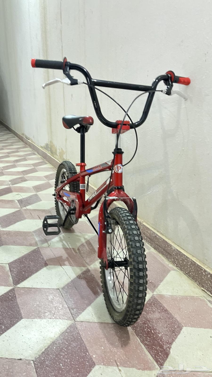 سيكل رامبو للبيع64486399303042110