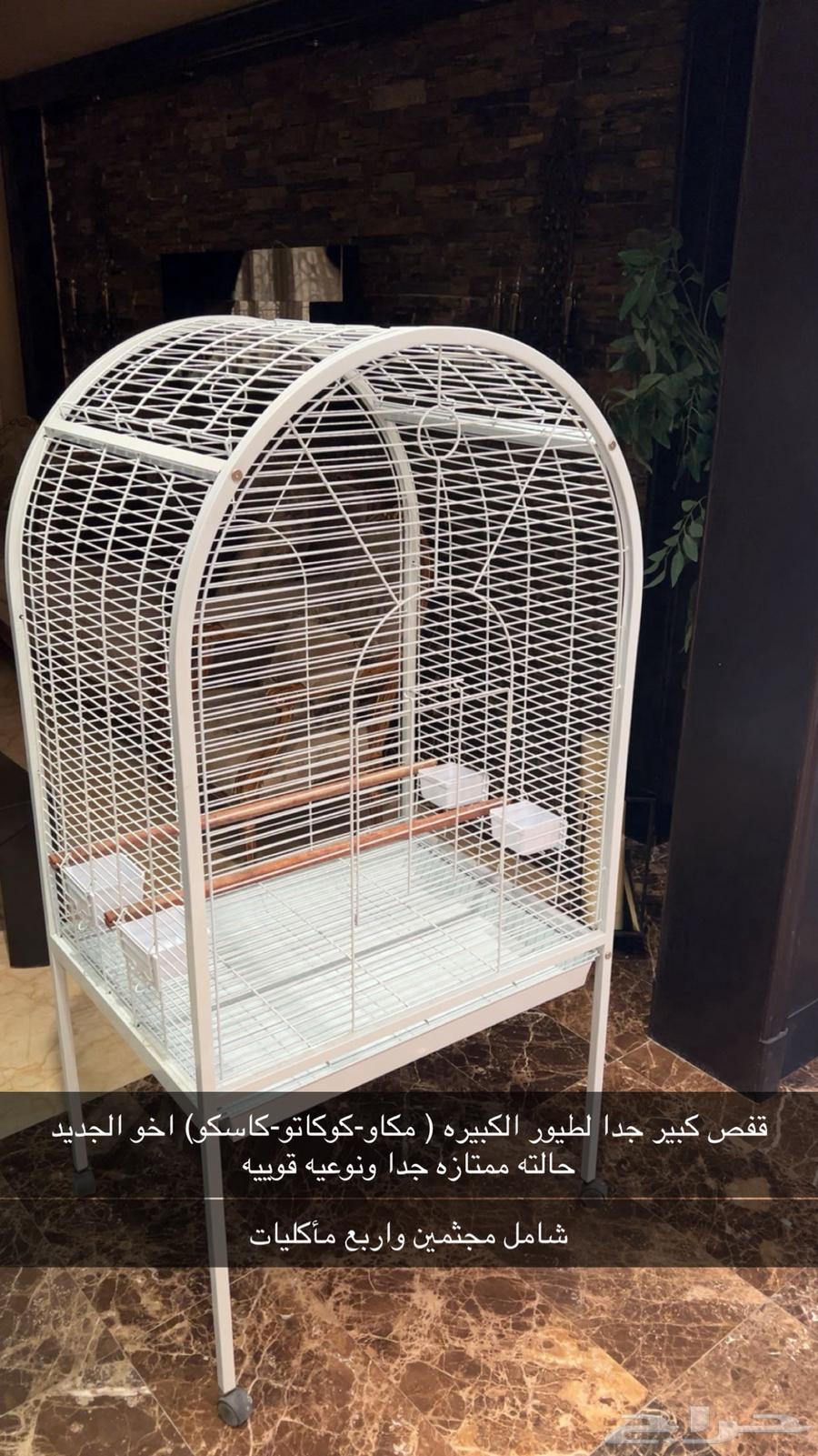 قفص كبير وستاند خشب64494304828546110