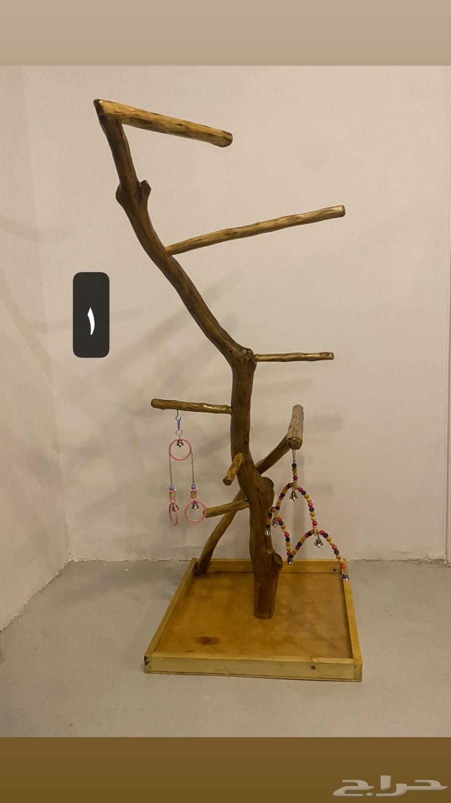 استاندات خشب للطيور64493286623489110