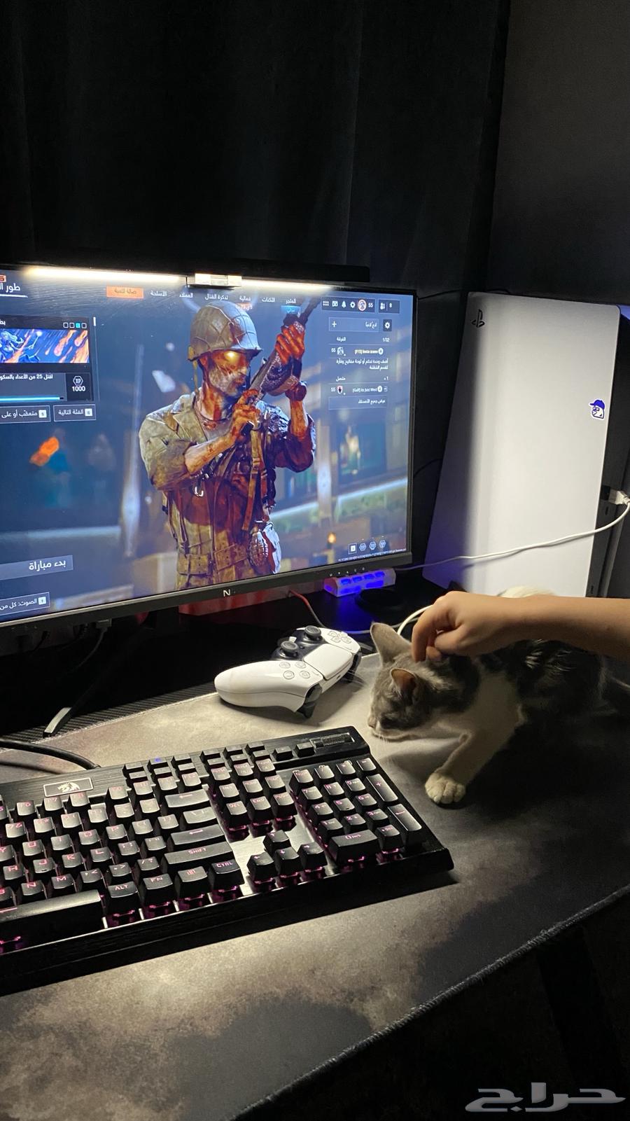 كيبورد ريد دراقون64491509978370110