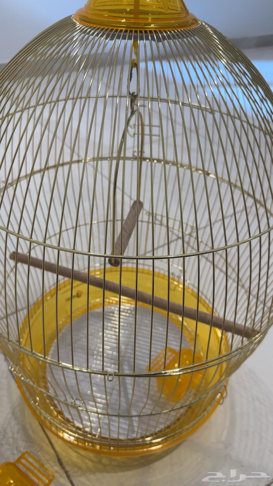قفص طيور64493137284483111