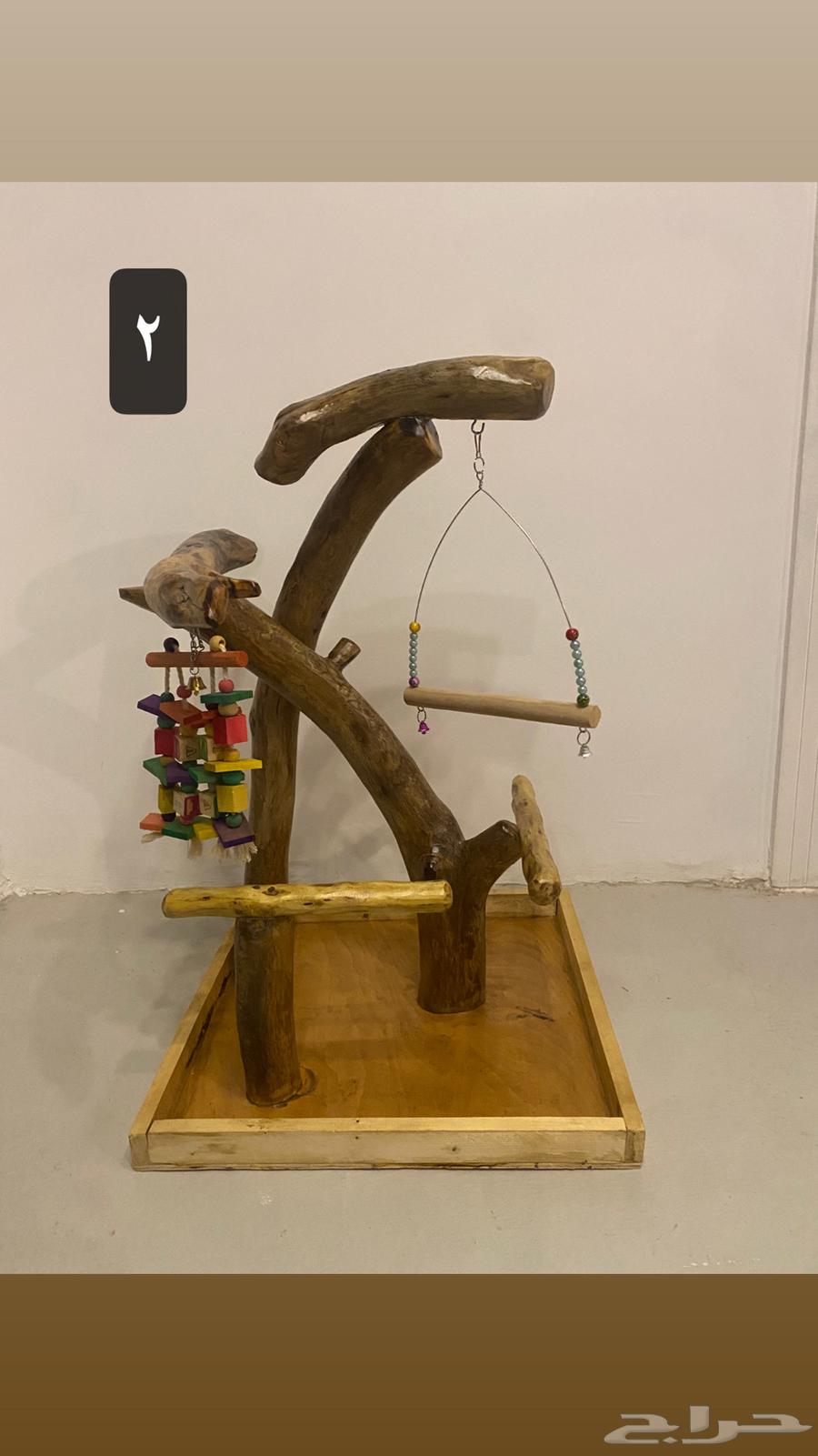 استاندات خشب للطيور64493286623489114