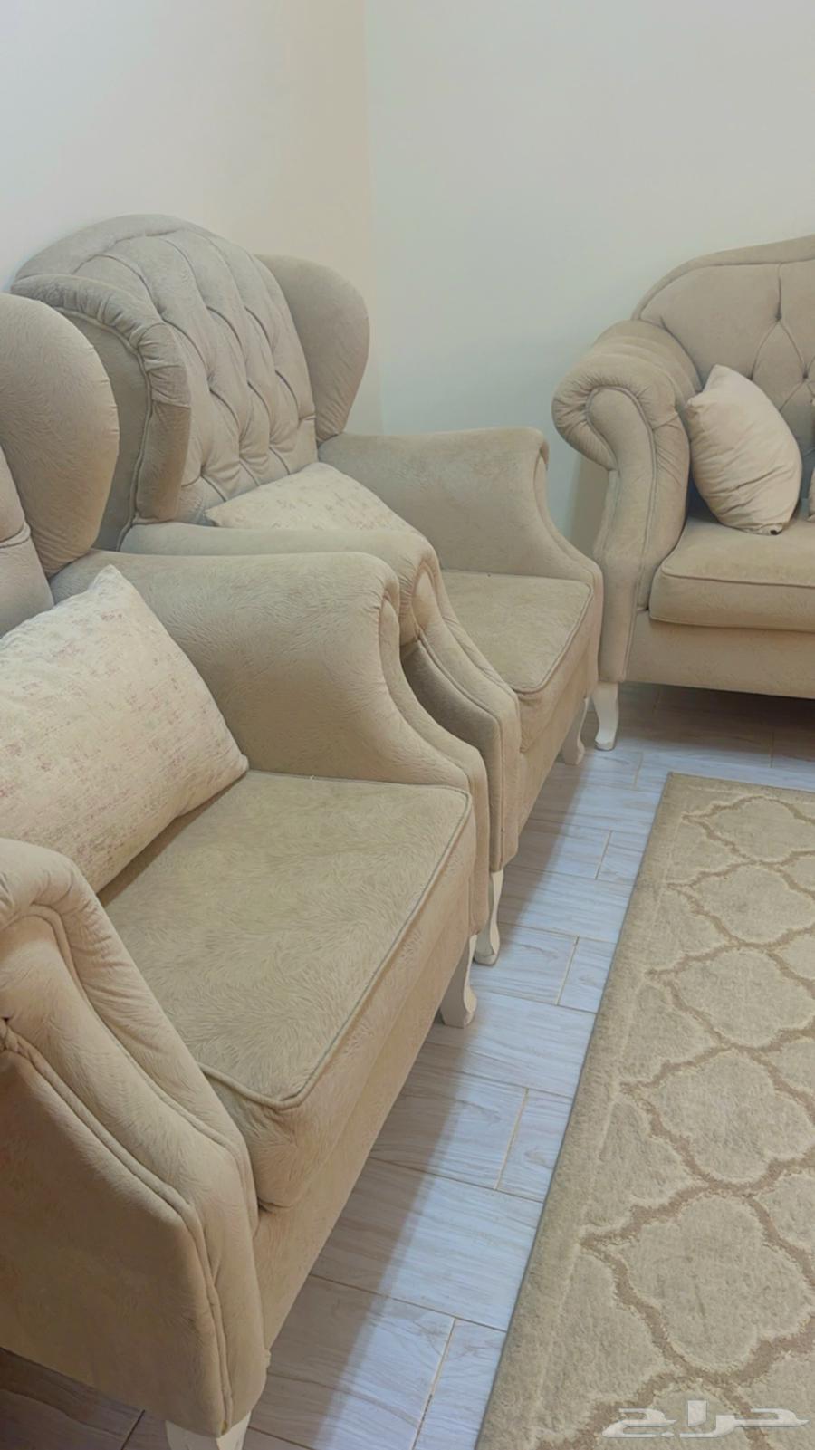 كنب مجلس 11 شخص الجوده ممتاز استخدام 3 سنوات64489738524289111