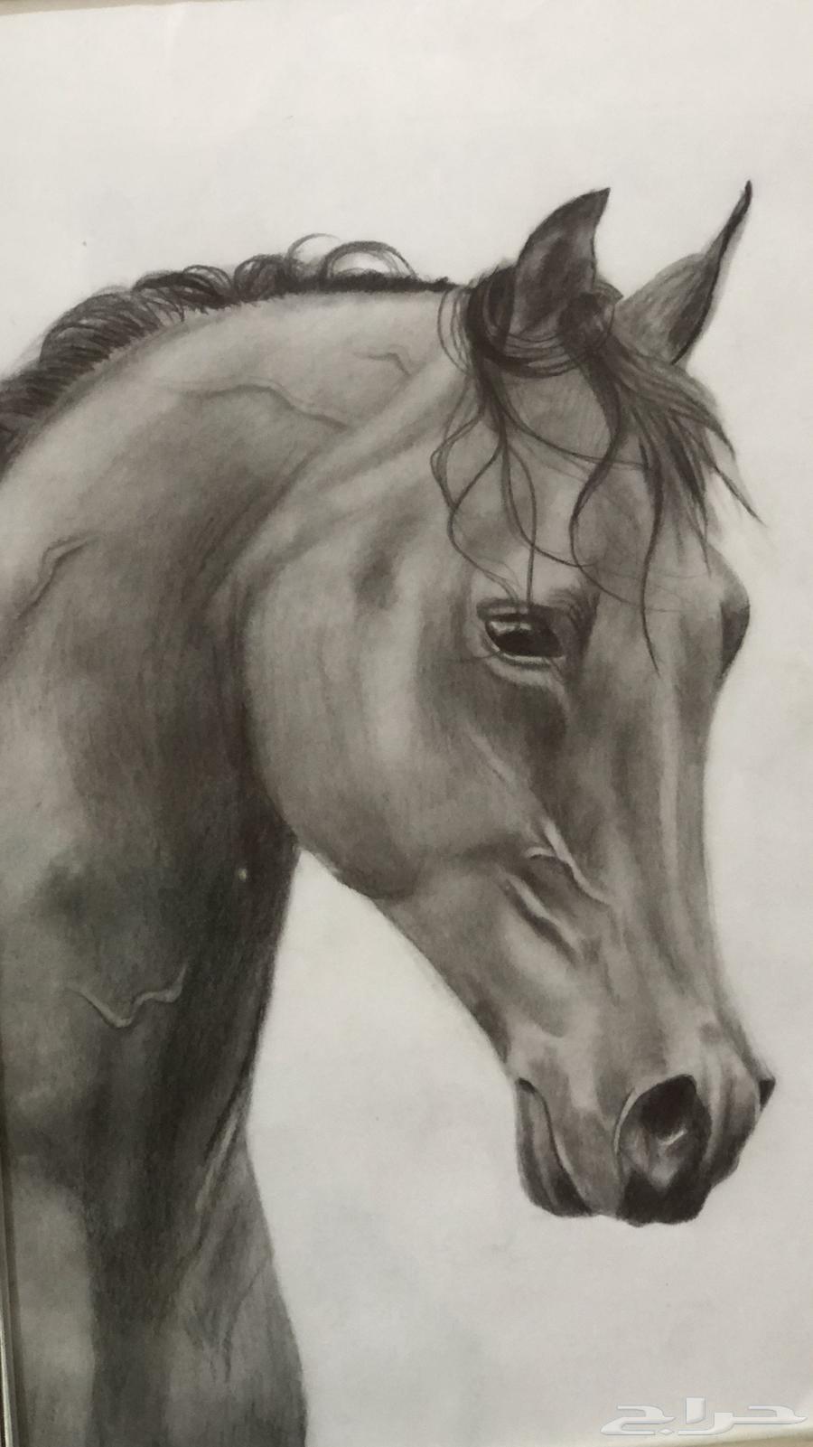 Drawing64493043061251110