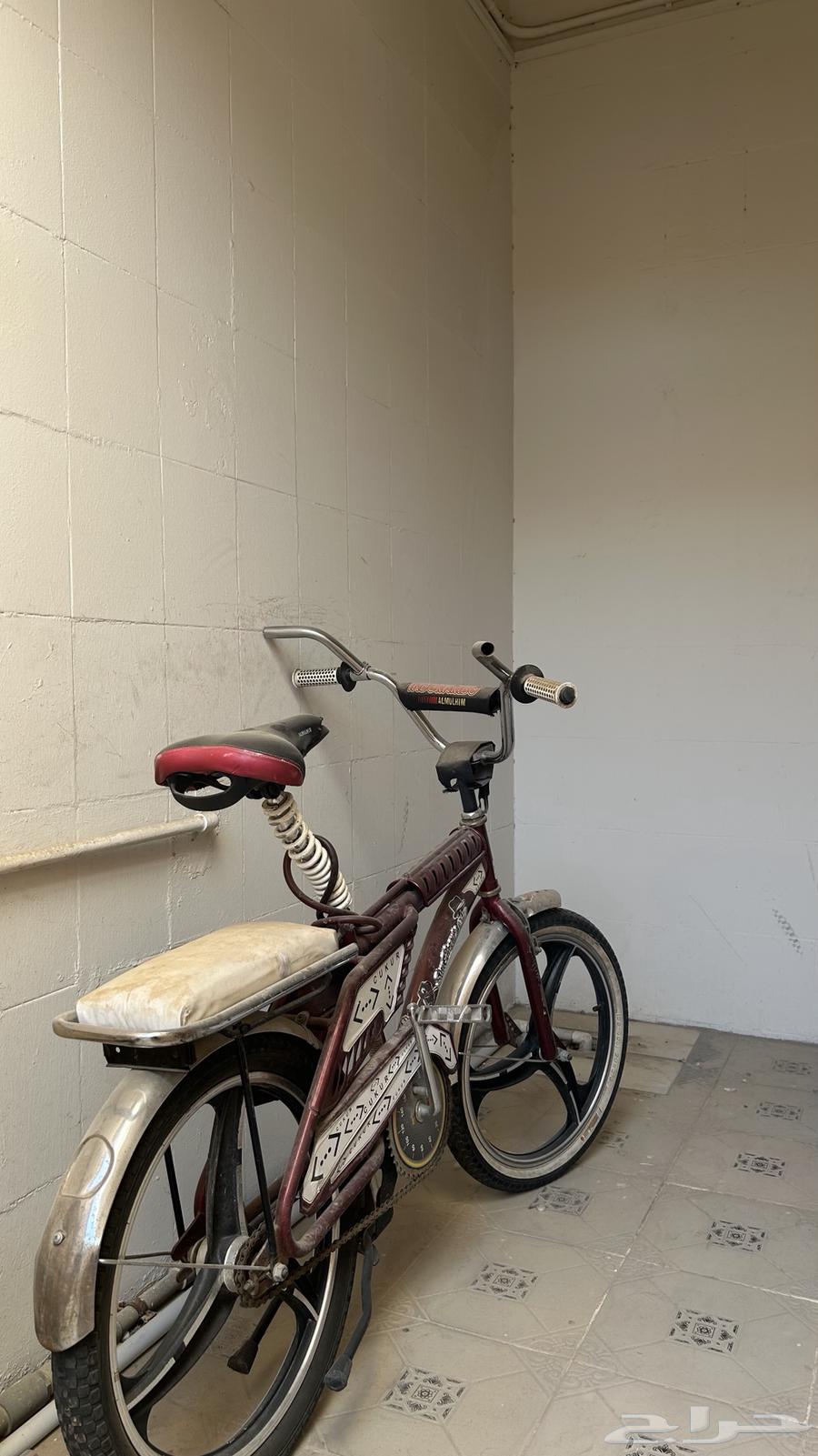 سيكل رامبو عنابي64490564422659110