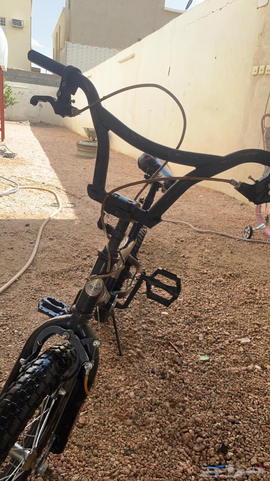 سيكل جديد ماشاءالله64493178029185113