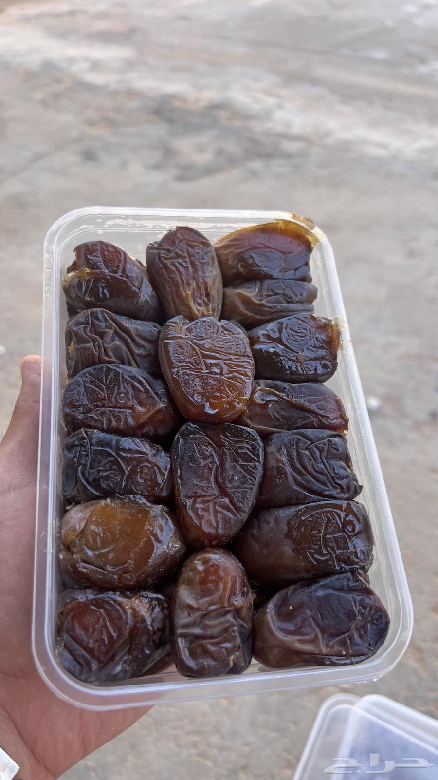 Premium Fresh Dates64491211667715110