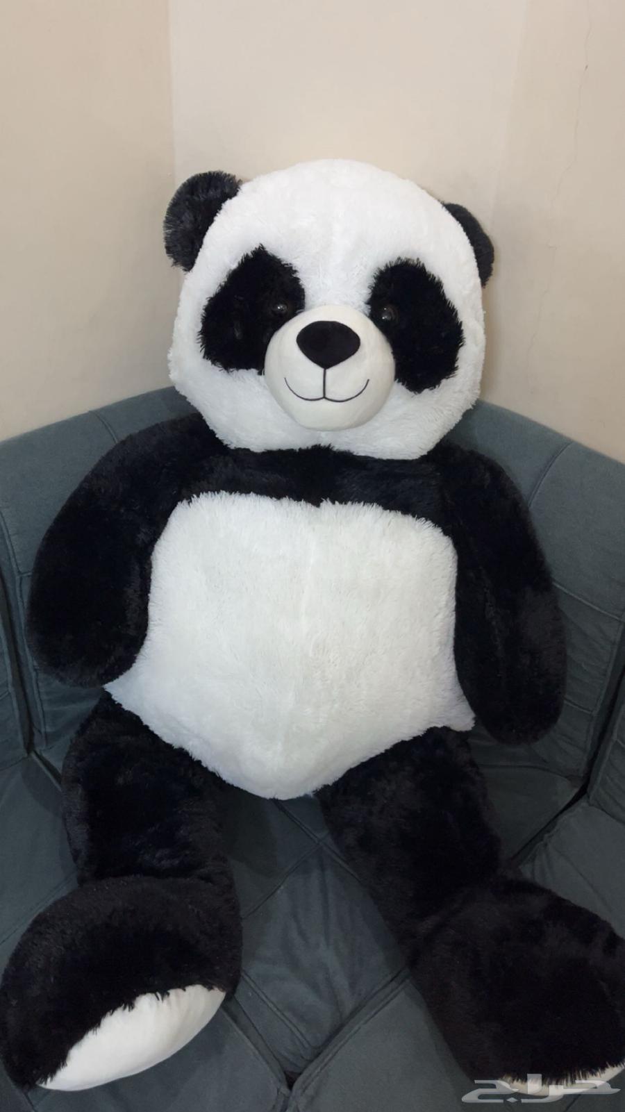 Large Dabdoub in Riyadh, price 20064492622549251110