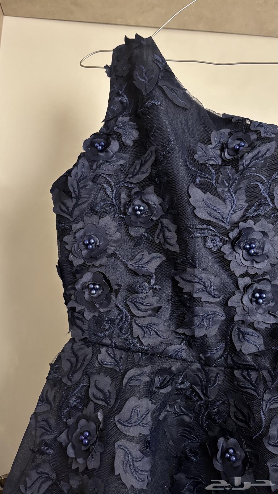 فستان من بارلينا لبسه مرا واحده فقط جديد64493096796417110