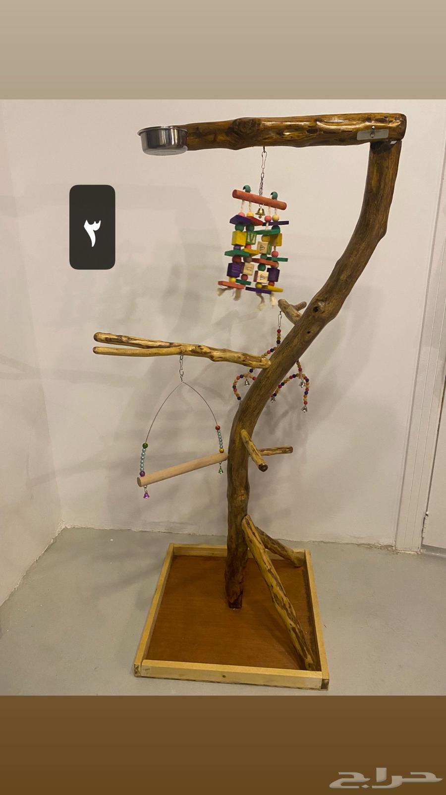 استاندات خشب للطيور64493286623489111