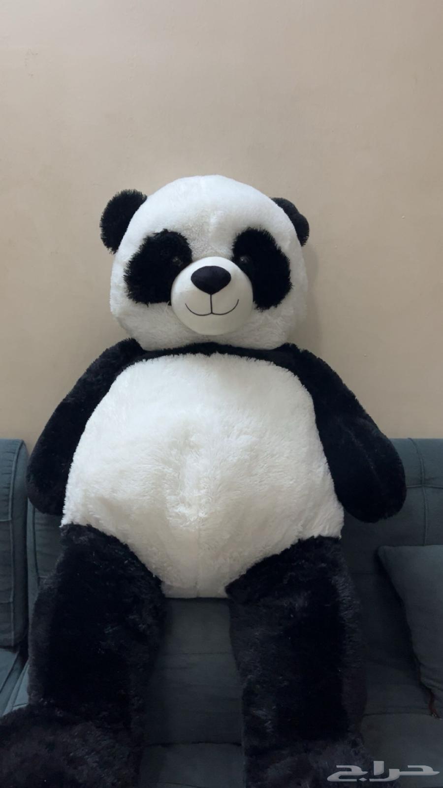 Large Dabdoub in Riyadh, price 20064492622549251111