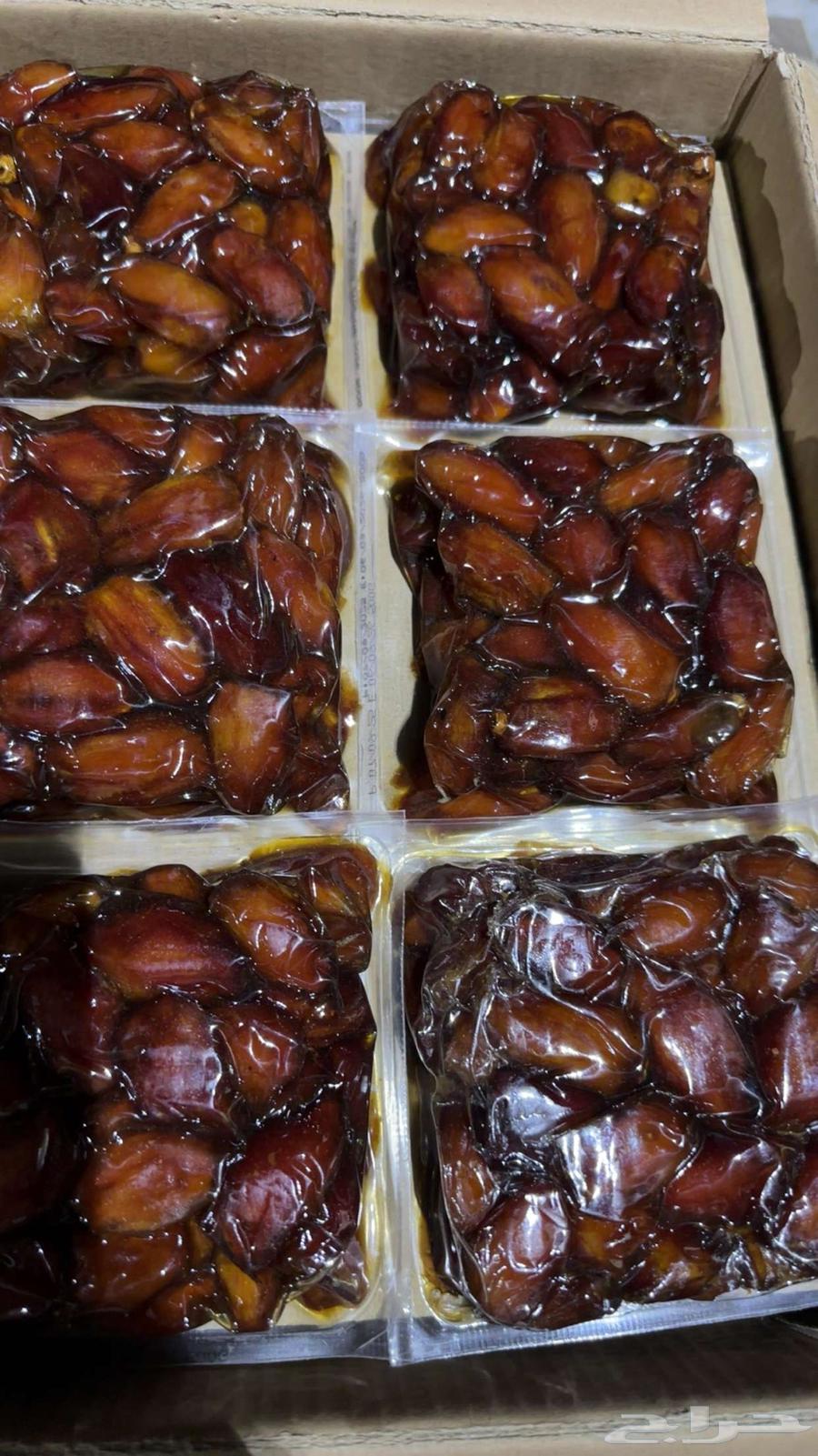 Luxury Safri Dates64494139960577111