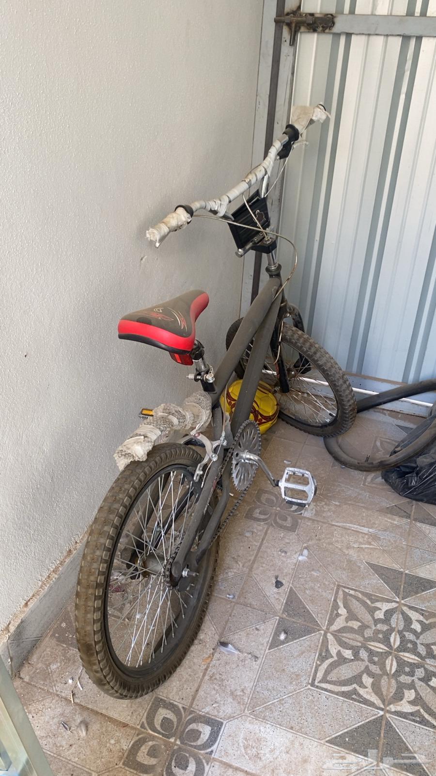 للبيع سيكل كوبرا مقاس 2064490782524929110