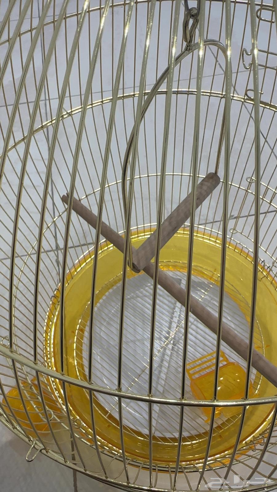 قفص طيور64493137284483112