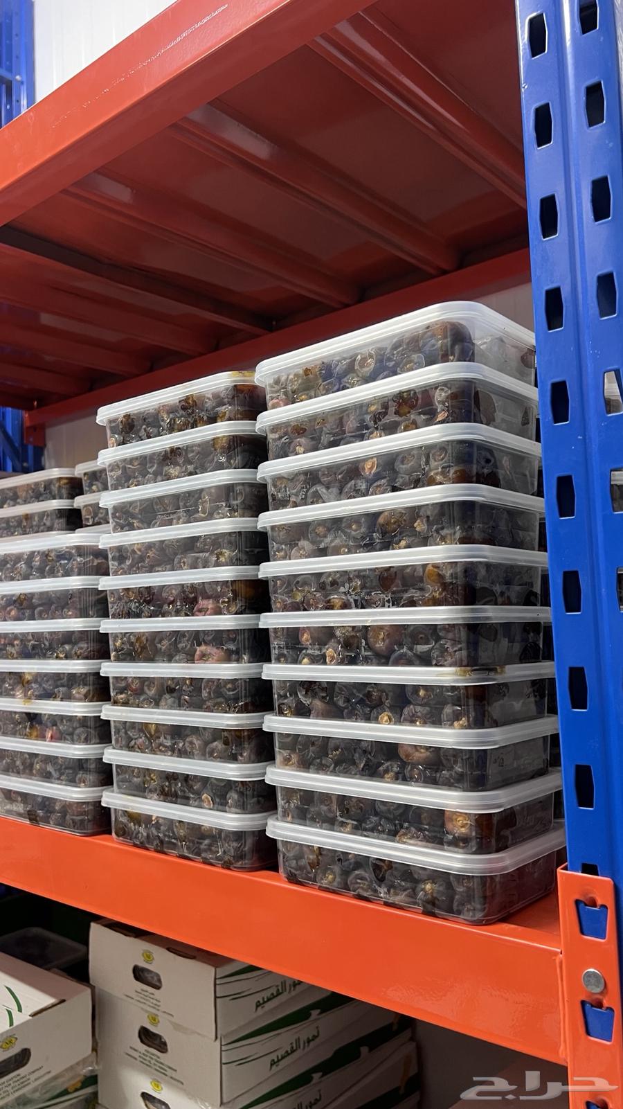 Premium Fresh Dates64491211667715112