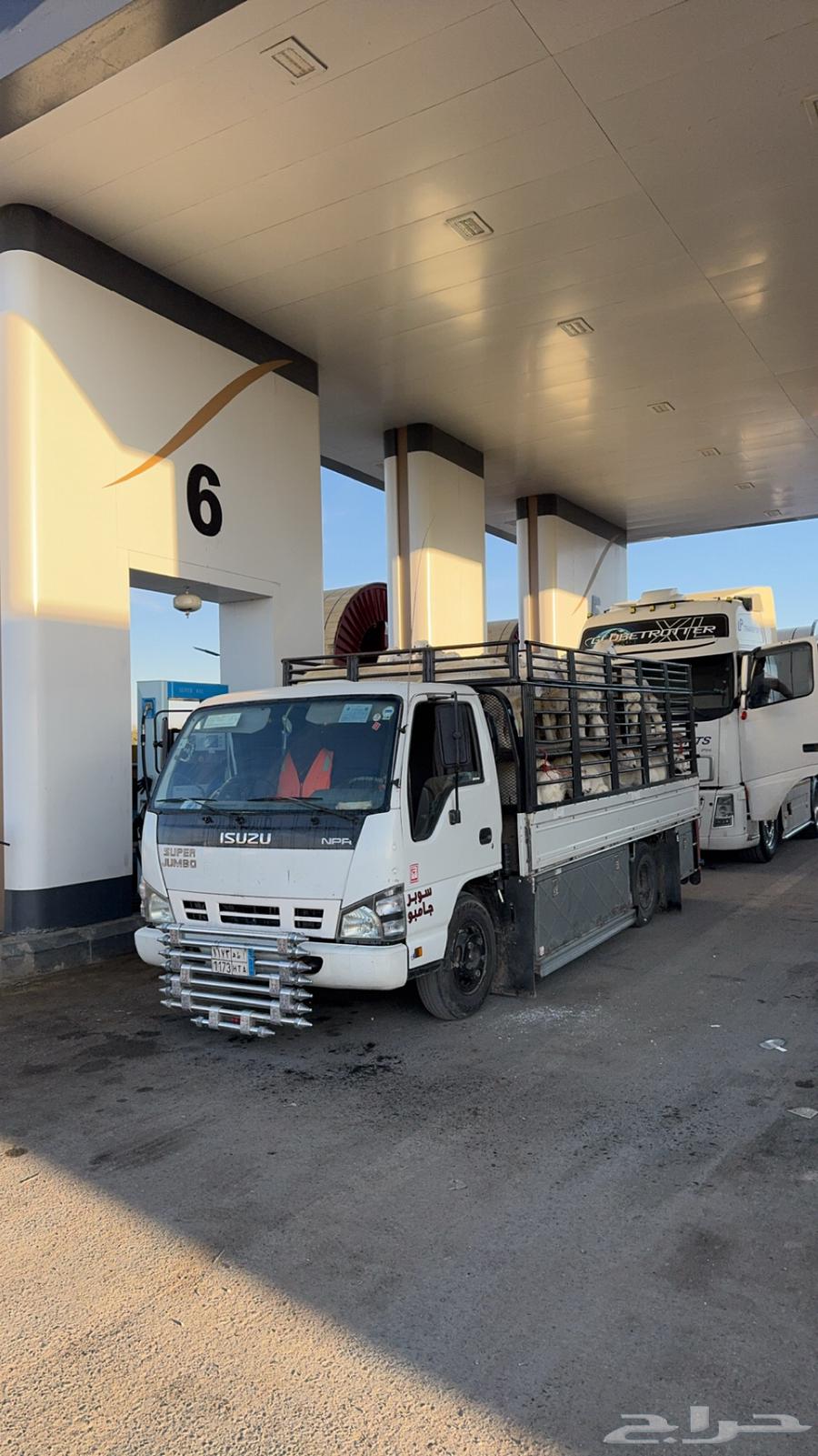 Moving Services Inside and Outside Taif64147642916866110