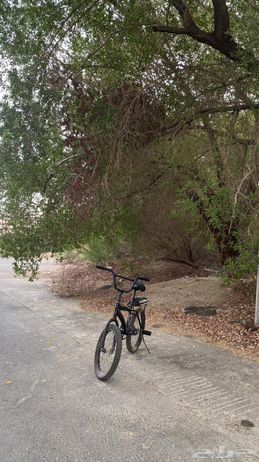 Bicycle RABO size twenty64492107760002111