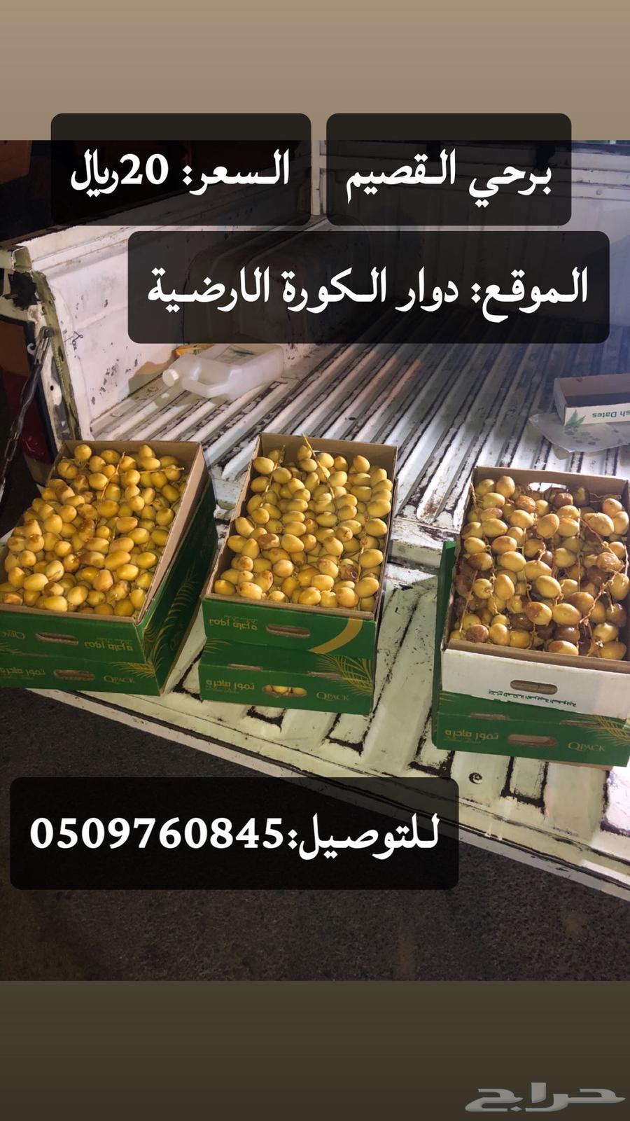 برحي القصيم توه واصل امس السعر 2064486510481795110