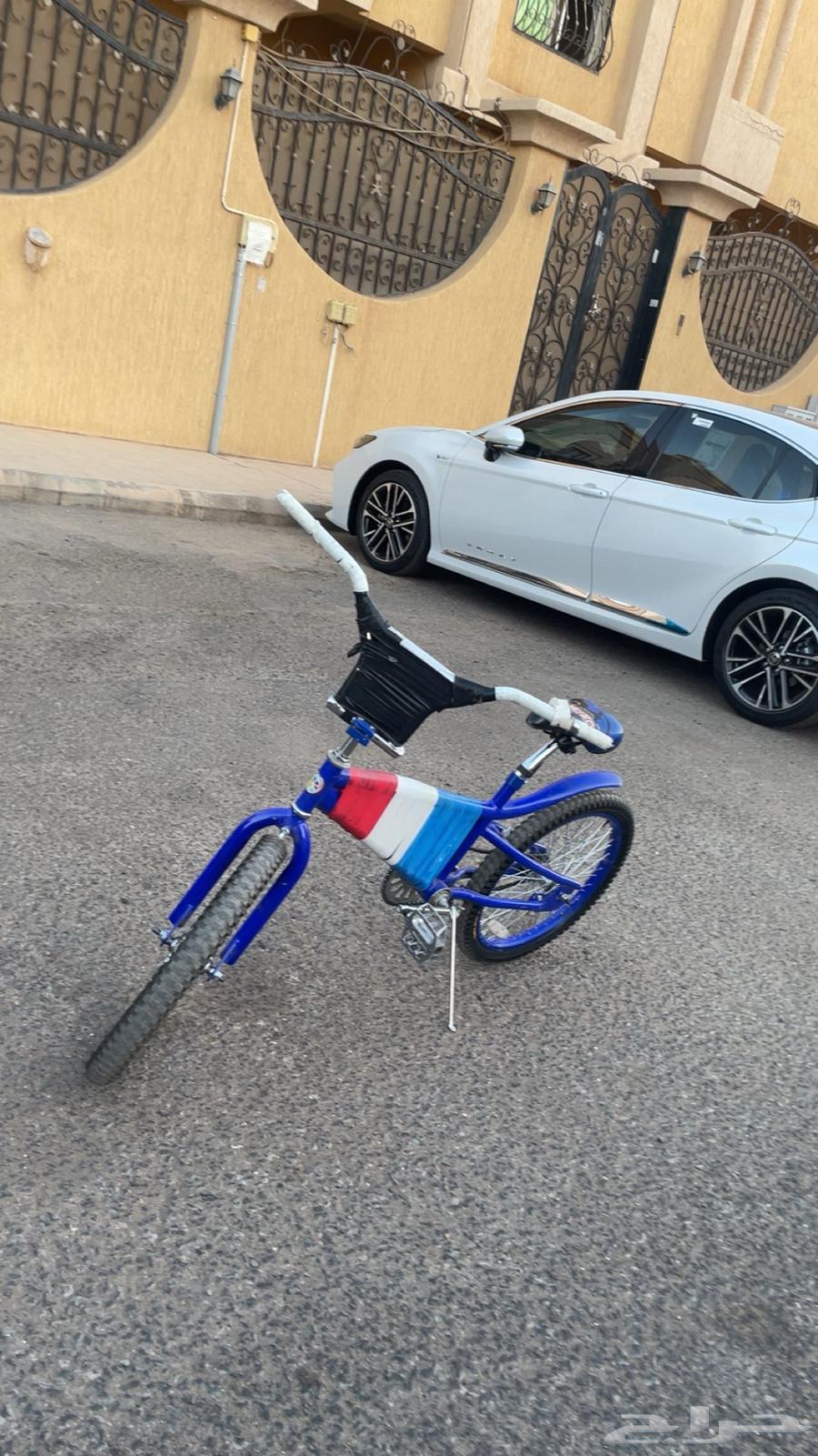 Cobra Cycle64489031385729110